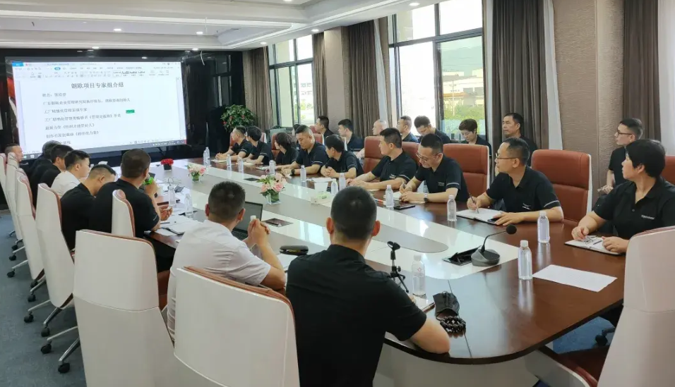 广东BG电器企业经营管理改善案例 广州企业经营管理